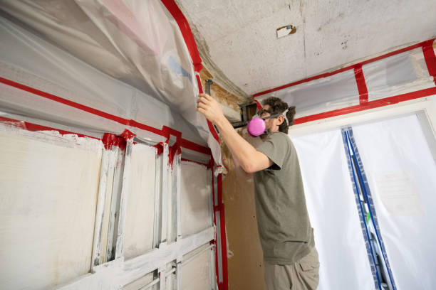 Professional Mold Removal in Midvale, UT